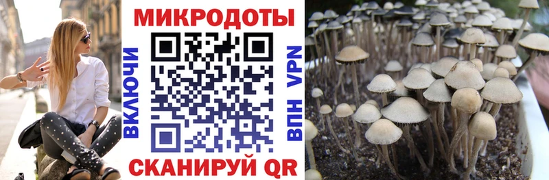 Галлюциногенные грибы мицелий  купить   Мичуринск 